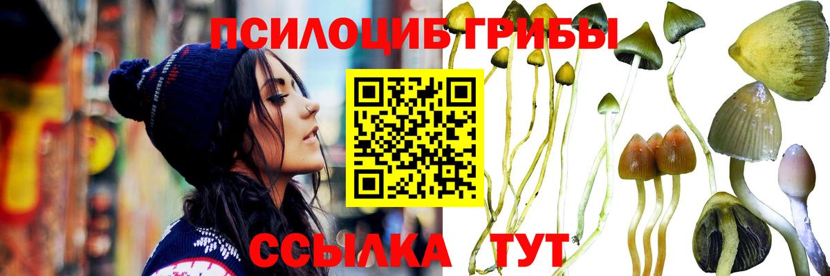 Псилоцибиновые грибы GOLDEN TEACHER Красноярск